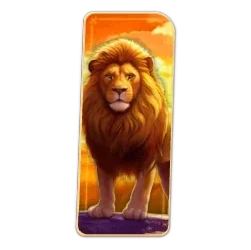 Lion
Safari slot game